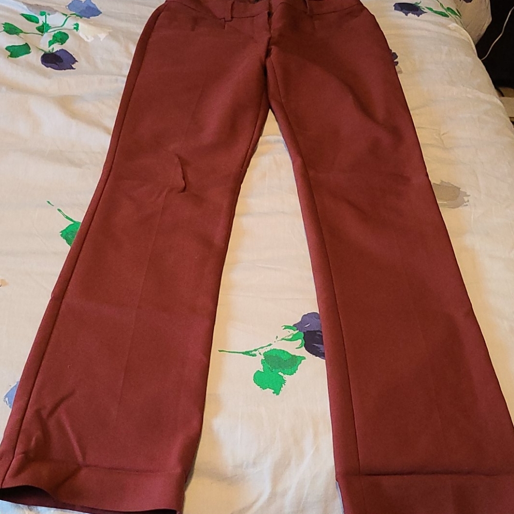 Rust colored express dress pants
